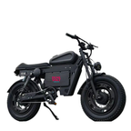 Dune Volt 2026 Rhino