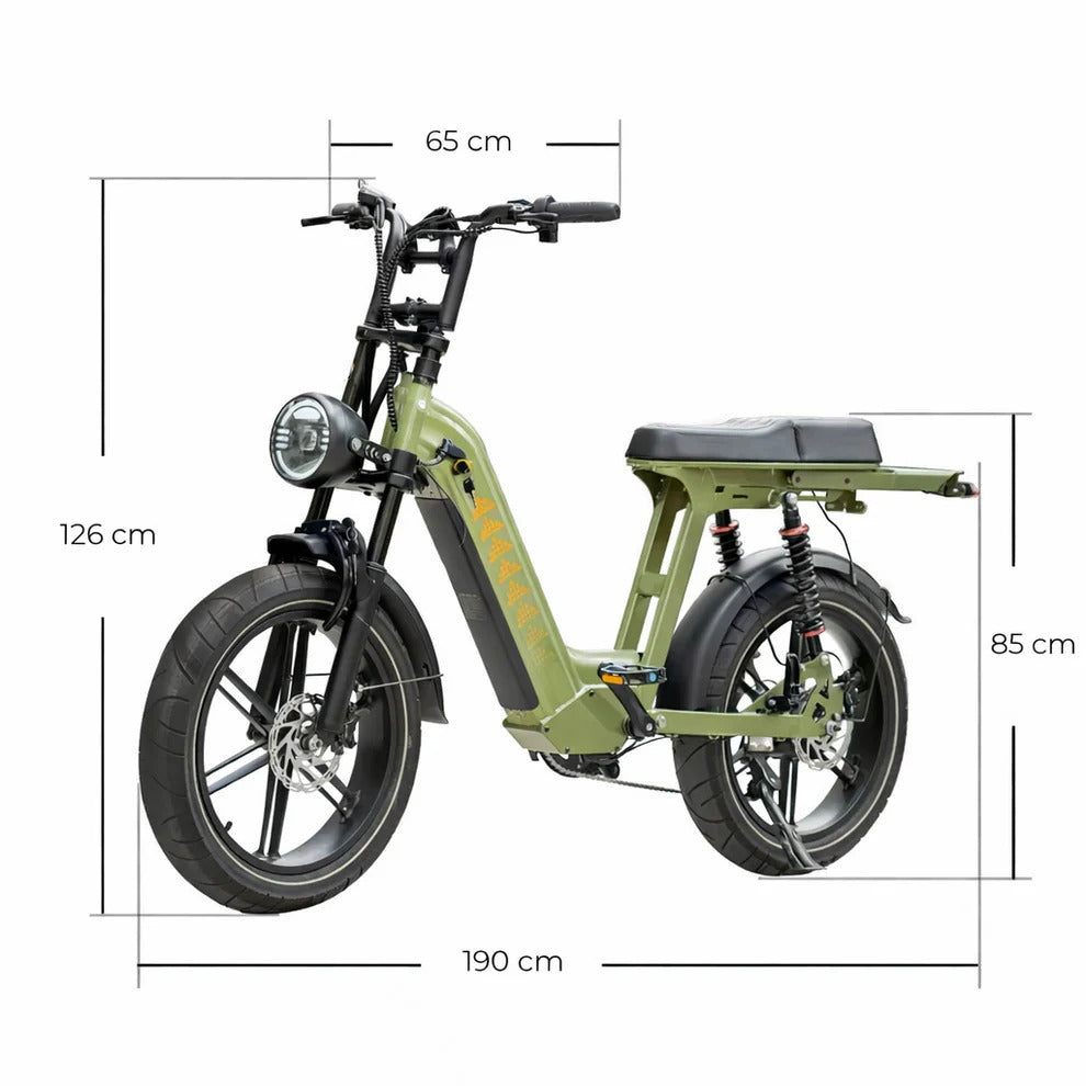 retro vintage style retro electric bicycle Retro Electric Bike for Sale